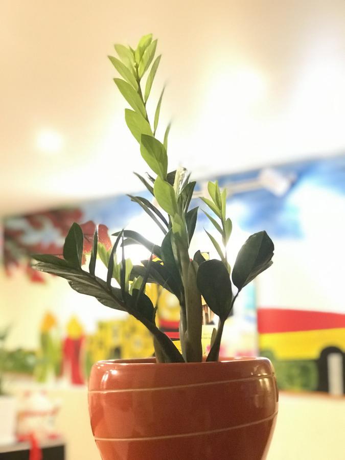 The Lily Hostel & Coffee Hô Chi Minh-Ville Extérieur photo